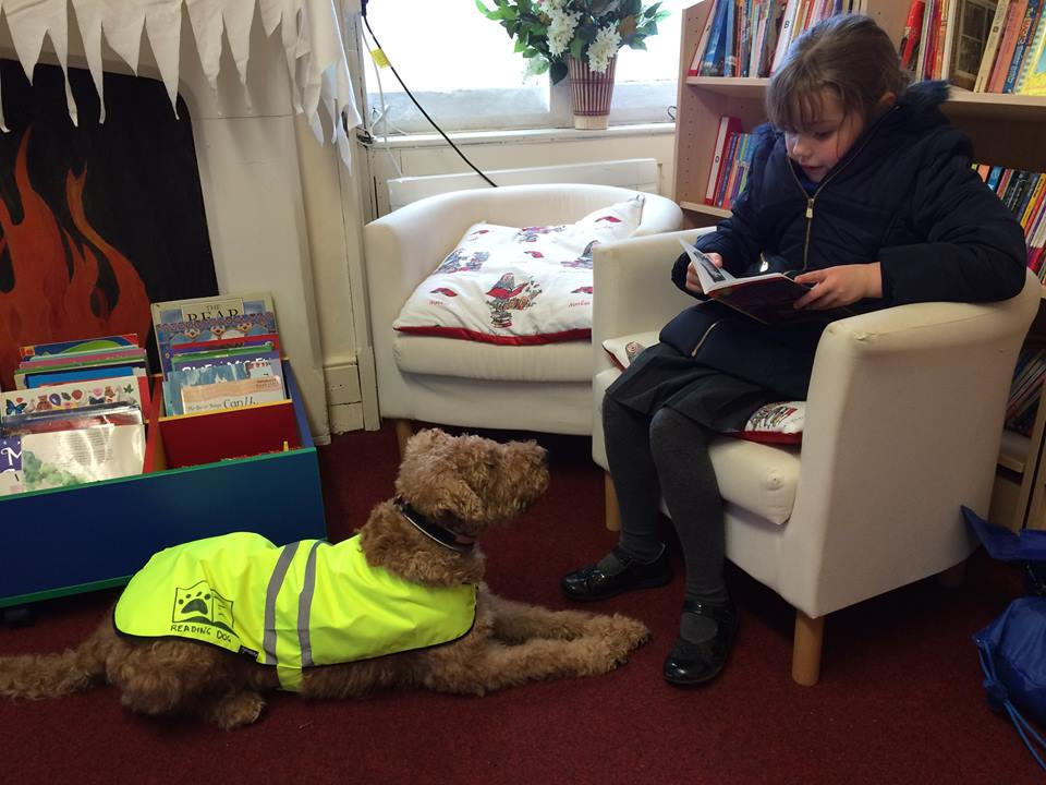 A six year-old-girl sits in an armchair and is reading to a dog in a high-vis jacket who lies at her feet.