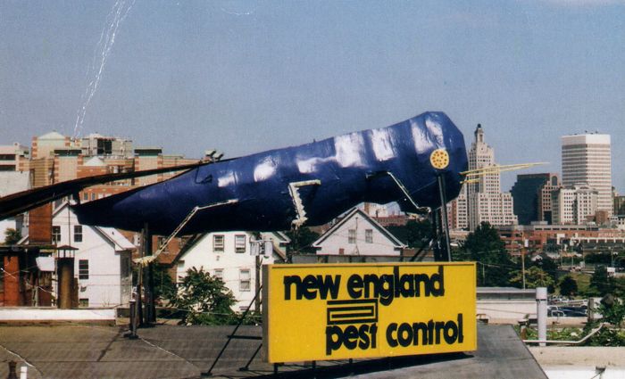 Study Abroad: How 4 Months in Rhode Island and 9/11 changed me&nbsp;forever